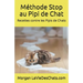 Recettes contre les pipis de chats: ou comment le ramener dans sa litière