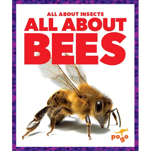 All about Bees