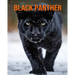 Black Panther: Amazing Photos and Fun Facts Book for kids