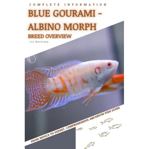 Blue Gourami - Albino Morph: From Novice to Expert. Comprehensive Aquarium Fish Guide