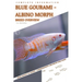 Blue Gourami - Albino Morph: From Novice to Expert. Comprehensive Aquarium Fish Guide