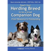 Teach Your Herding Breed to Be a Great Companion Dog, from Obsessive to Outstanding