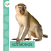 Los Monos
