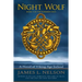 Night Wolf: A Novel of Viking Age Ireland