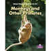 Monkeys and Other Primates