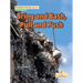 Bring and Bash, Pull and Push