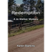 Redemption: A Jo Walker Mystery