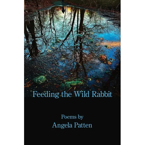 Feeding the Wild Rabbit