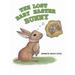 The Lost Baby Easter Bunny