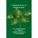 Common Trees Of Pennsylvania
