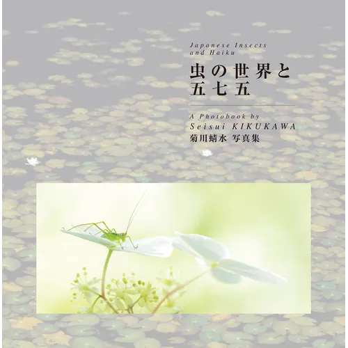 Japanese Insects and Haiku
