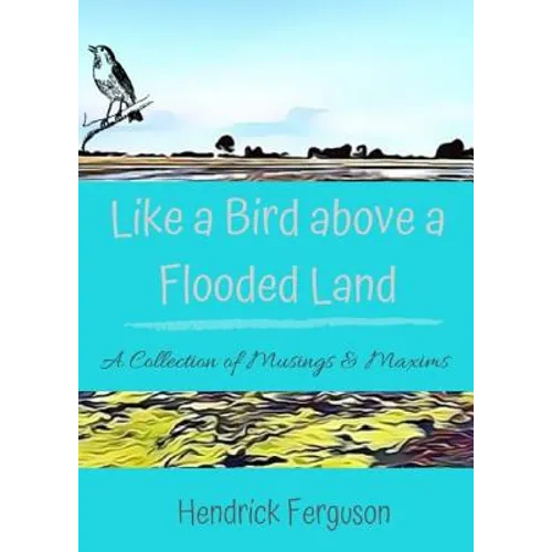 Like a Bird above a Flooded Land: A Collection of Musings & Maxims