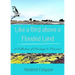 Like a Bird above a Flooded Land: A Collection of Musings & Maxims