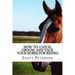 How to: Catch, Groom, and Tack Your Horse for Riding
