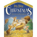 Itsy Bitsy Christmas: A Reimagined Nativity Story for Advent and Christmas