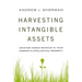 Harvesting Intangible Assets: Uncover Hidden Revenue in Your Company's Intellectual Property