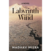 Labyrinth of the Wind: A Novel of Love and Nuclear Secrets in Tehran
