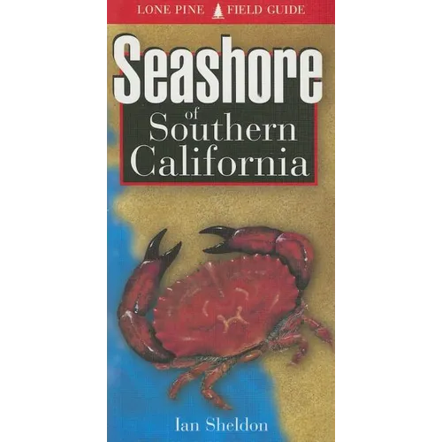 Seashore of Southern California