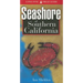 Seashore of Southern California