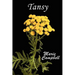 Tansy