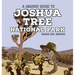Joshua Tree National Park: A Grande Guide