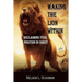 Waking The Lion Within: Reclaiming Your Position In Christ