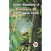 Green Mansions A Romance Of The Tropical Forest