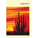 Saguaro: National Monument