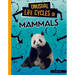 Unusual Life Cycles of Mammals