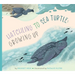 Hatchling to Sea Turtle: Growing Up