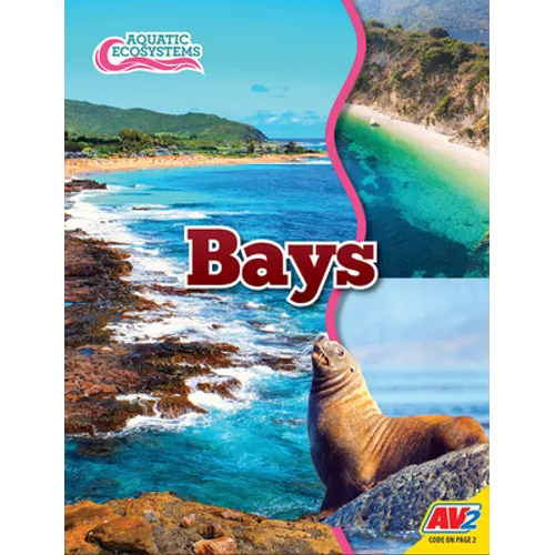 Bays