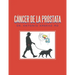 Cáncer De La Próstata
