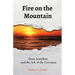 Fire on the Mountain: Sister Josephine and the Ark of the Covenant