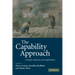 The Capability Approach: Concepts, Measures and Applications
