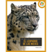 El Leopardo de Las Nieves