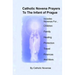 Catholic Novena Prayers To The Infant Of Prague: Including Novena For Protection of Children, Healing Novena, Novena For A Good Family Life, Novena Fo