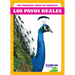 Los Pavos Reales (Peacocks)