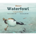 About Waterfowl: A Guide for Children