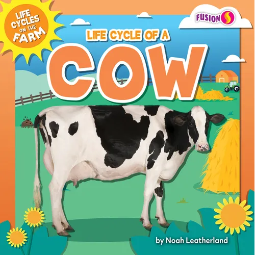 Life Cycle of a Cow