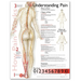 Understanding Pain Anatomical Chart