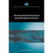 The International Protection of Internally Displaced Persons