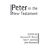 Peter in the New Testament