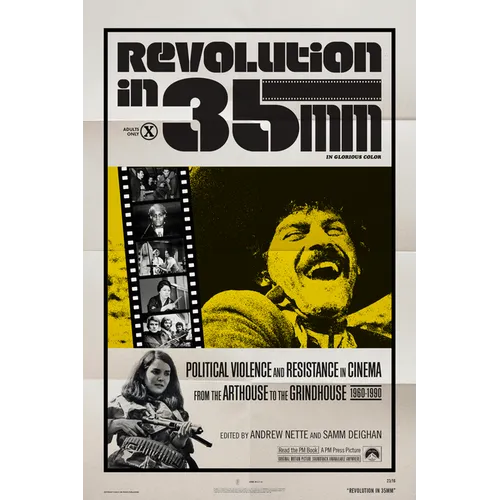 Revolution in 35mm: Political Violence and Resistance in Cinema from the Arthouse to the Grindhouse, 1960-1990