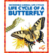 Life Cycle of a Butterfly