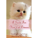 A Guide For New Cat Owners: Everything You Need To Know About Raising Your First Cat: How Do I Care For My New Kitten?