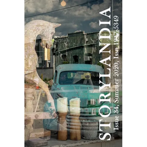Storylandia, Issue 34: The Distance Between Here and Elsewhere: Three Stories