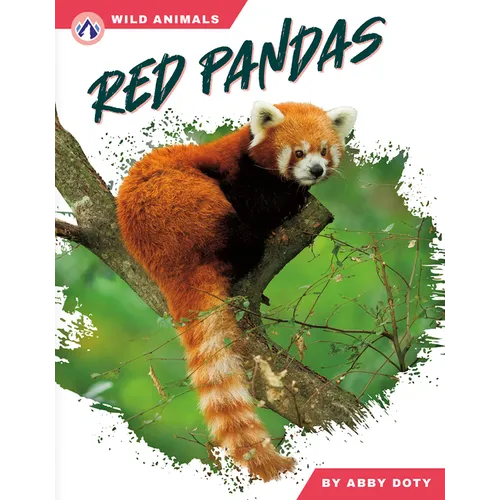 Red Pandas