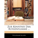 Zur Kenntnis Der Bunsenflamme ...