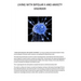 Living with Bipolar II and Anxiety Disorder: An Informational Guide