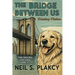The Bridge Between Us: Healing Fiction